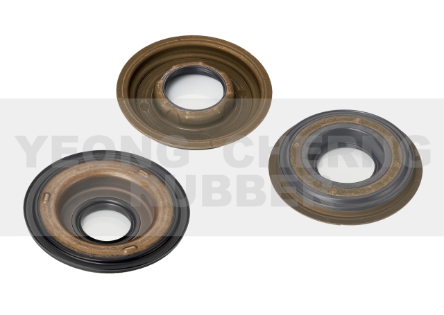 Oil Seal