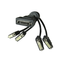 CE100 Pin Male to 4x DVI Female UL20276 cable 300mm length
