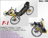 F-1 F-1
