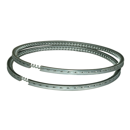 Ductile Cast Iron & Steel Ring