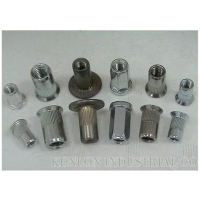 Other Blind Rivet Nuts Other Blind Rivet Nuts