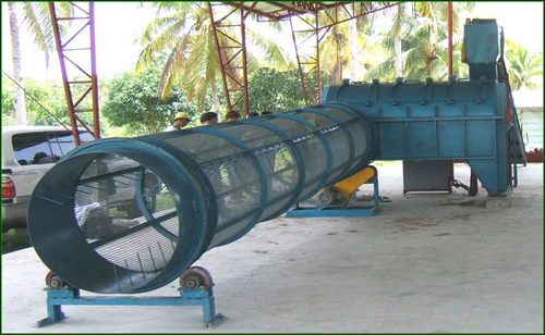 椰子﹑棕櫚大型抽絲系列 (100HP以上)