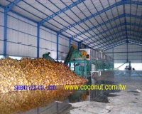 Coconut , Palm fibers Mat Whole Plant Machine