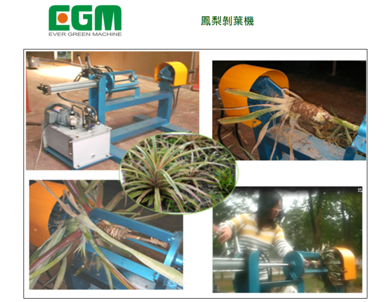 Pineapple leaf stripping machine