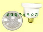 LED Light Bulbs (L)