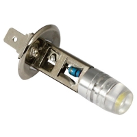 Head Light Head Light