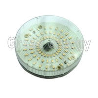 LED Downlight 