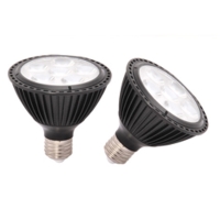 LED PAR Lamp