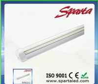 Fluorescent Lamp