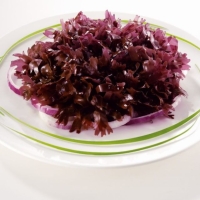 Healthy Seaweed