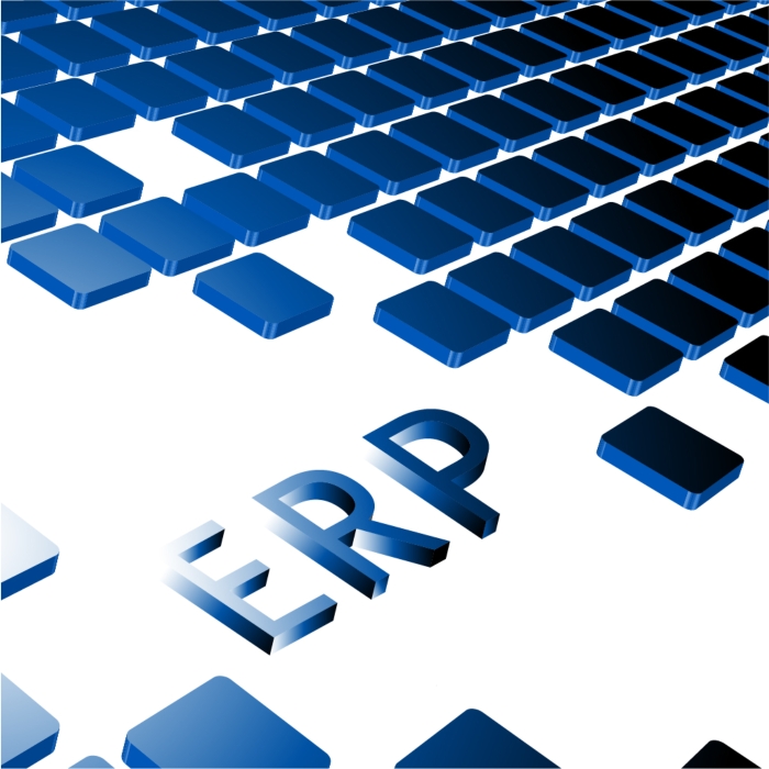 ERP SYSTEM