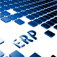 ERP SYSTEM