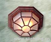 Outdoor Ceiling Lighting