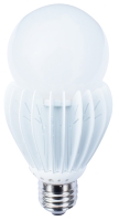 12W LED Bulb