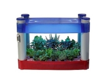 魚菜共生矩形燈池