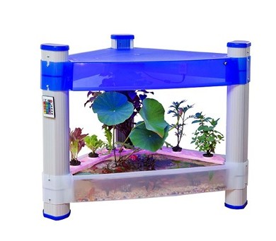 Hydroponic indoor garden lighted chamber Hydroponic indoor garden lighted chamber