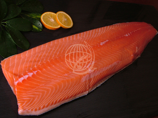 Atlantic Salmon