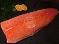 Atlantic Salmon