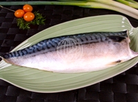 Salted Mackeral Fillet
