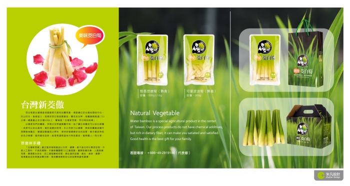 Bamboo Shoot