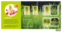 Bamboo Shoot