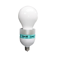 LED Bulbs LED Bulbs