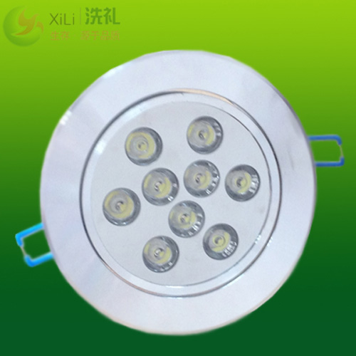 LED Down Light