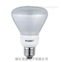R80 15W LED Bulbs