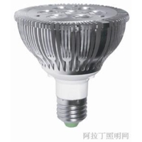 PAR 38 12*2W LED Bulbs