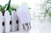 LED Bulb Light