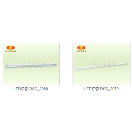 LED Tube Light