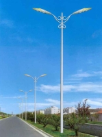 Road Light Road Light