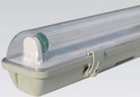 Fluorescent Waterproof Light