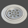 LED Down Light