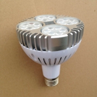 Osram 35W PAR30 Bulb 