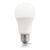 LED Bulb