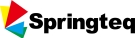 SPRINGTEQ ELECTRONICS CORP.