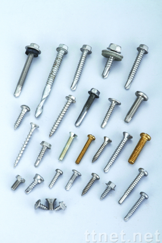 Screw Screw