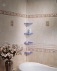 Telescopic Shelf