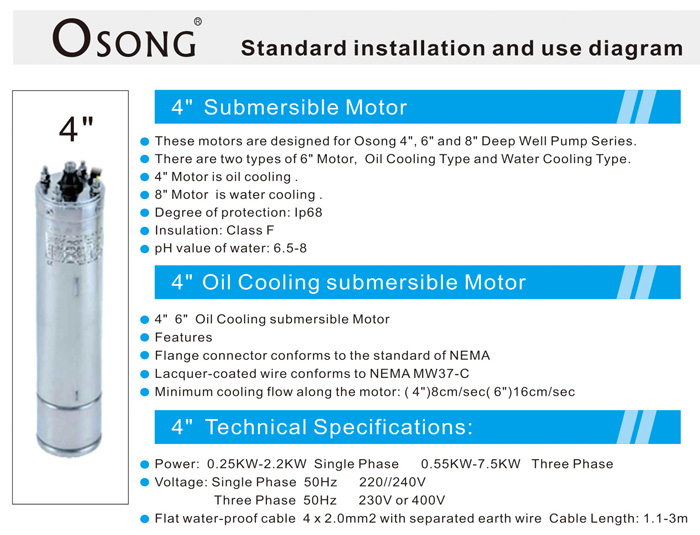 Submersible Motors