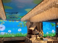 Indoor LED Advertising Display