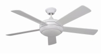 Ceiling fan