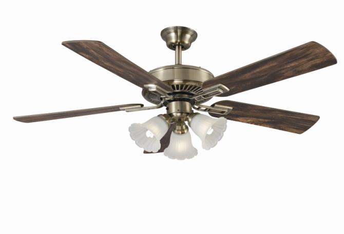 Ceiling fan