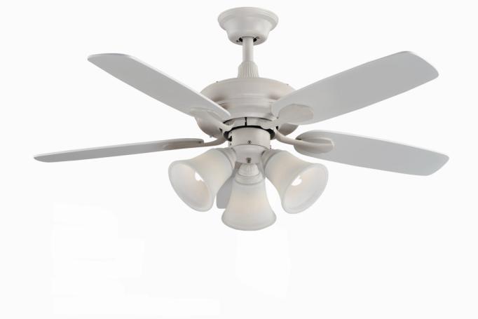 Ceiling fan