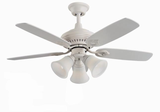 Ceiling fan