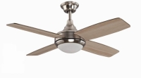 Ceiling fan