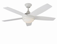 Ceiling fan