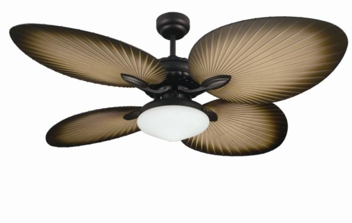 Ceiling fan