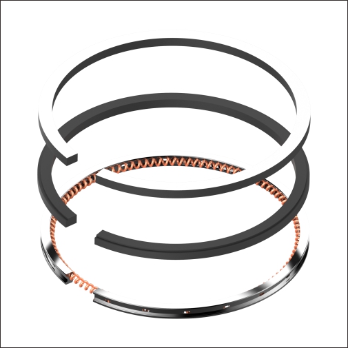 PISTON RING-PAKAN PISTON RING-PAKAN