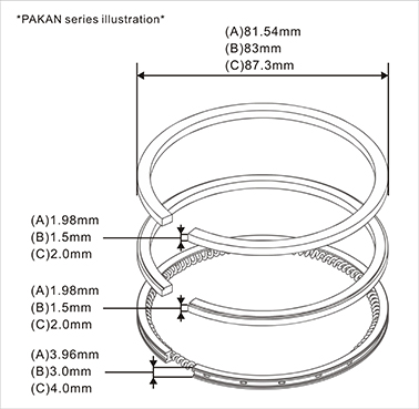 PISTON RING-PAKAN